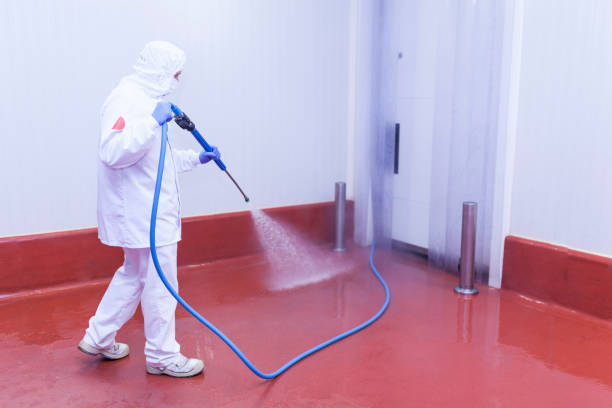Best Dumpster Area Cleaning  in Canon, GA